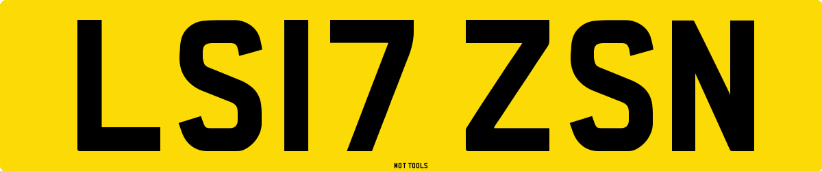 LS17ZSN MOT Check