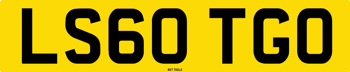 LS60TGO MOT Check