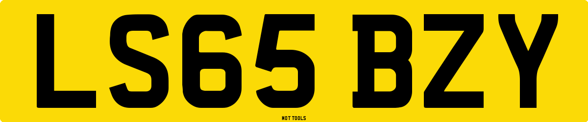 LS65BZY MOT Check