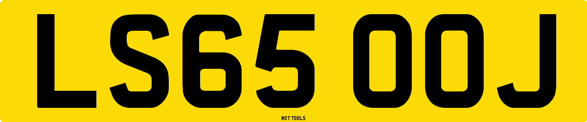 LS65OOJ MOT Check