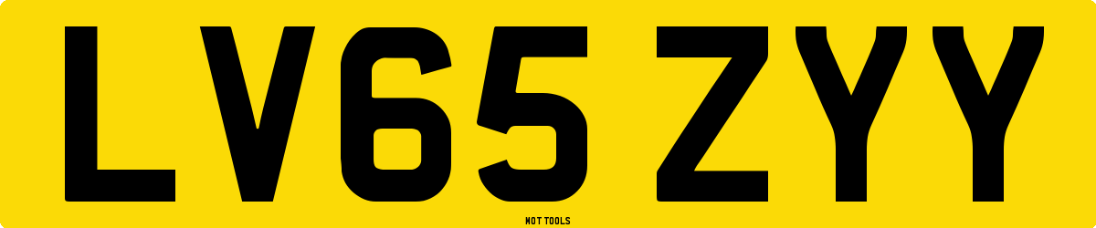 LV65ZYY MOT Check