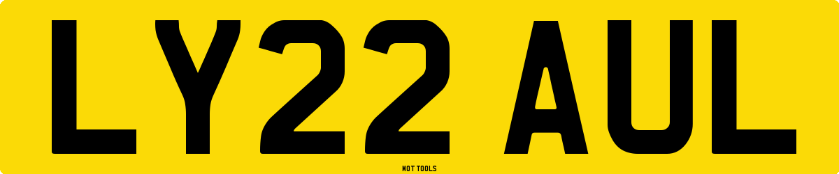LY22AUL MOT Check