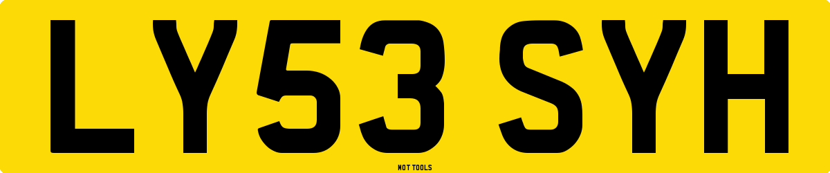 LY53SYH MOT Check