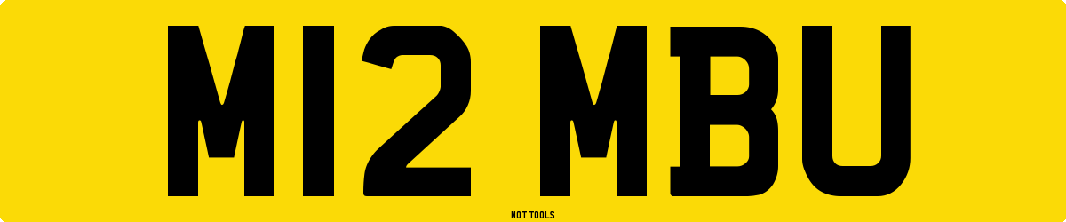 M12MBU MOT Check