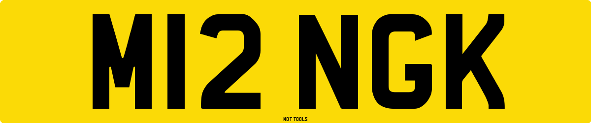 M12NGK MOT Check