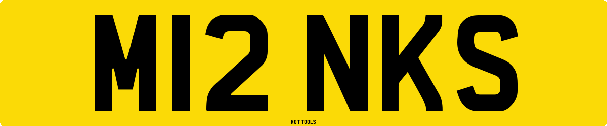 M12NKS MOT Check