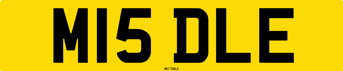 M15DLE MOT Check