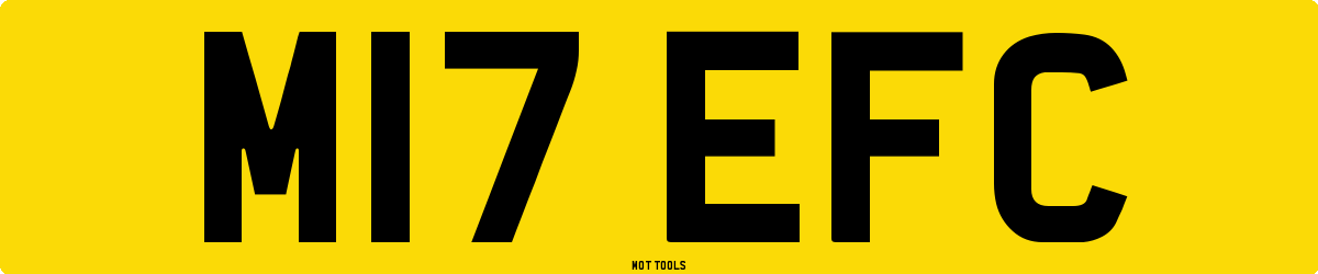 M17EFC MOT Check