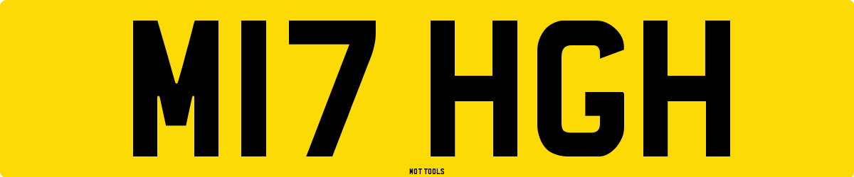 M17HGH MOT Check