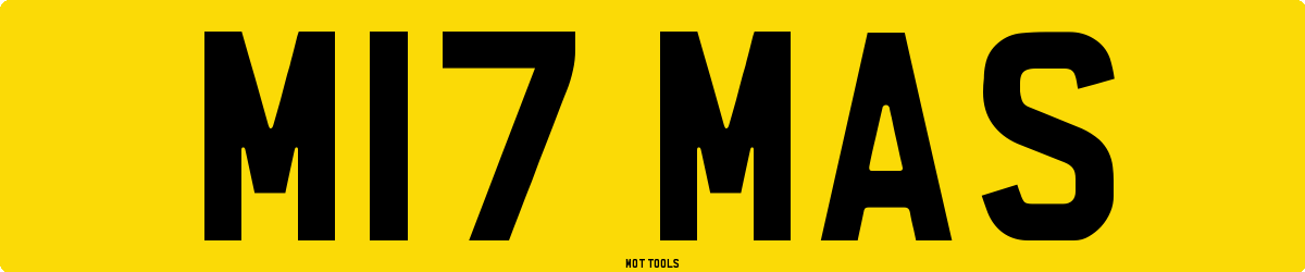 M17MAS MOT Check