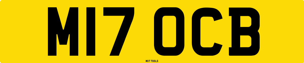 M17OCB MOT Check