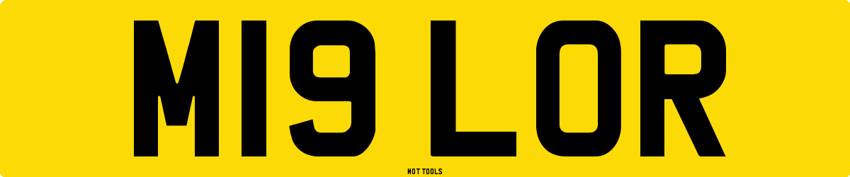 M19LOR MOT Check