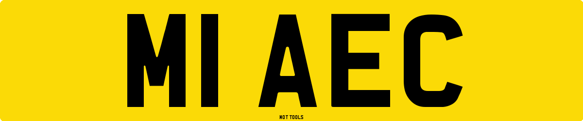 M1AEC MOT Check