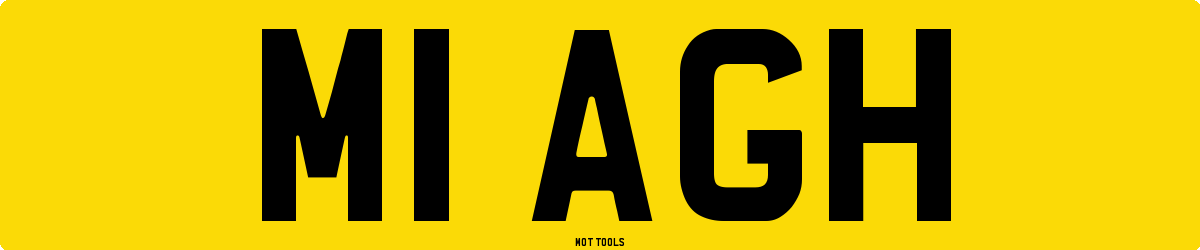 M1AGH MOT Check