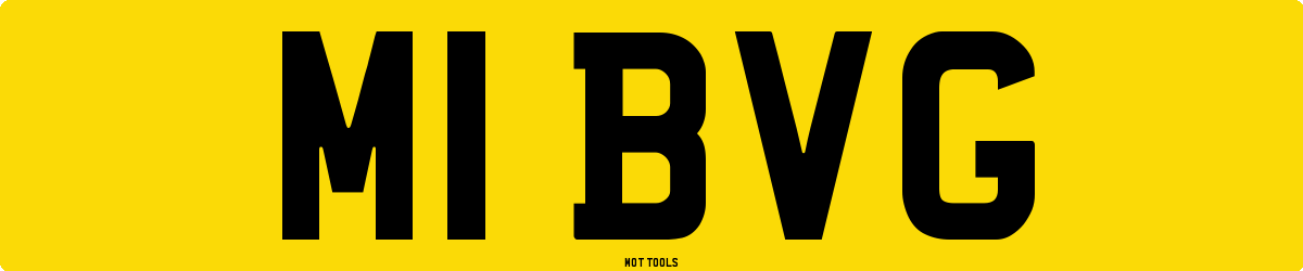 M1BVG MOT Check