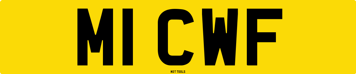 M1CWF MOT Check