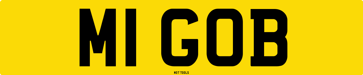 M1GOB MOT Check