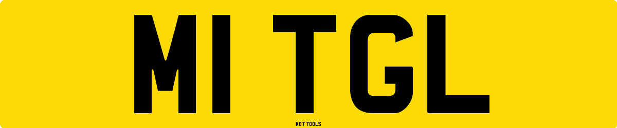M1TGL MOT Check