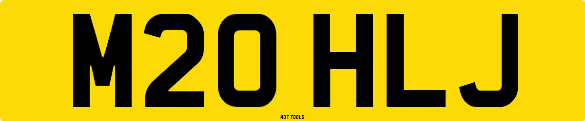 M20HLJ MOT Check