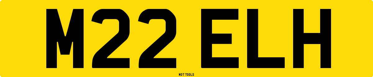 M22ELH MOT Check