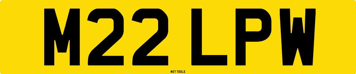 M22LPW MOT Check