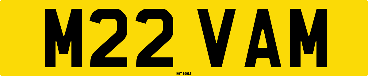 M22VAM MOT Check