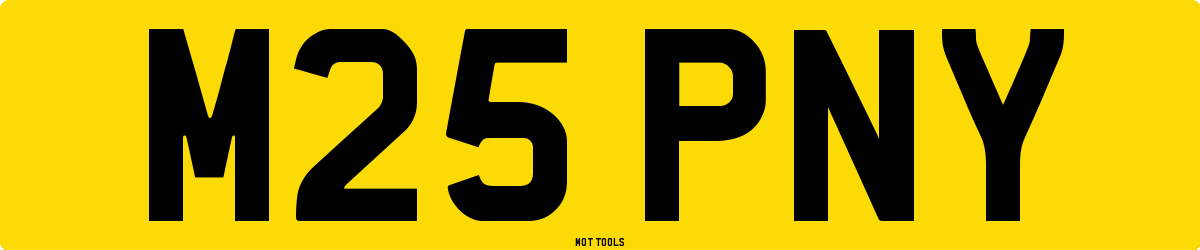 M25PNY MOT Check