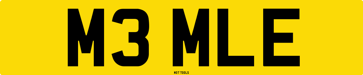 M3MLE MOT Check