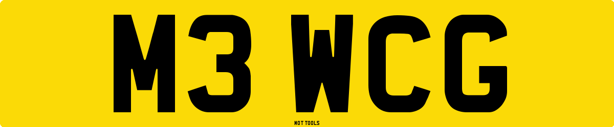 M3WCG MOT Check