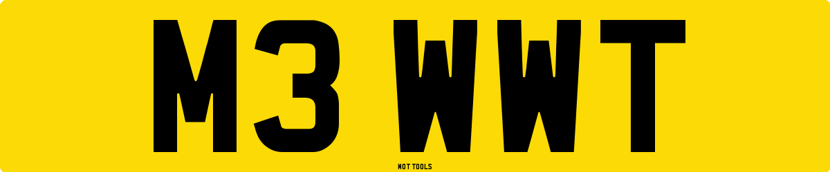 M3WWT MOT Check