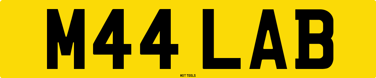M44LAB MOT Check