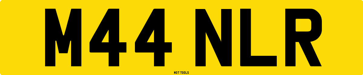 M44NLR MOT Check