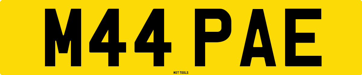M44PAE MOT Check