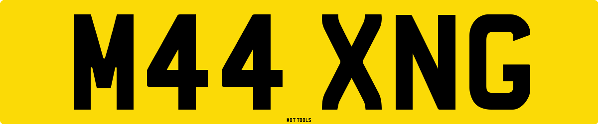 M44XNG MOT Check