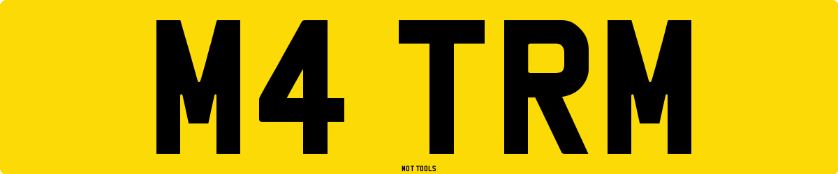 M4TRM MOT Check