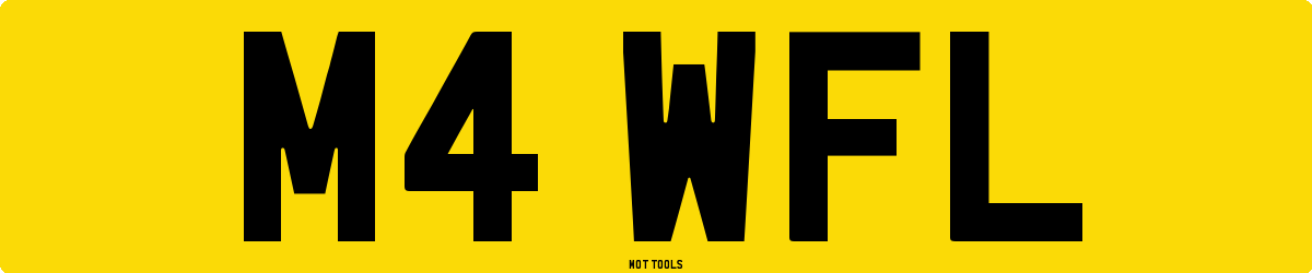 M4WFL MOT Check