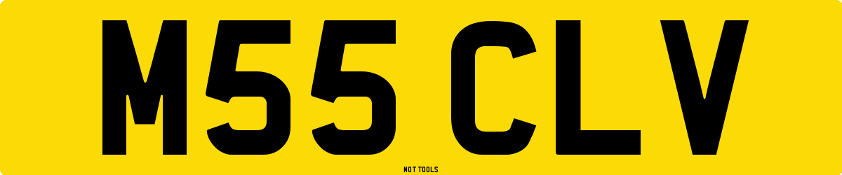 M55CLV MOT Check