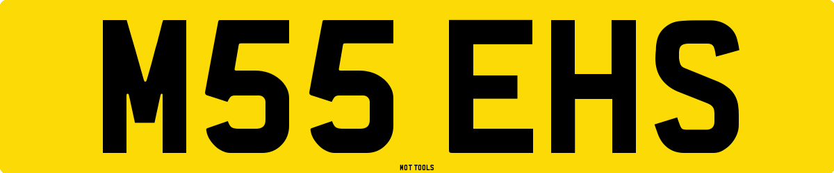 M55EHS MOT Check
