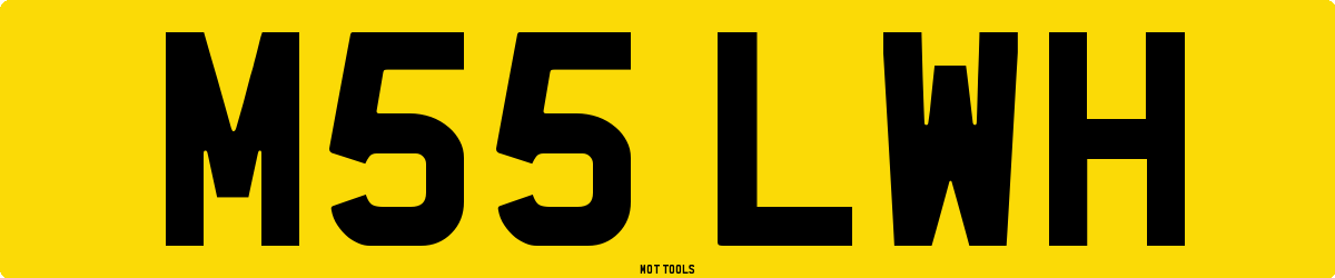 M55LWH MOT Check