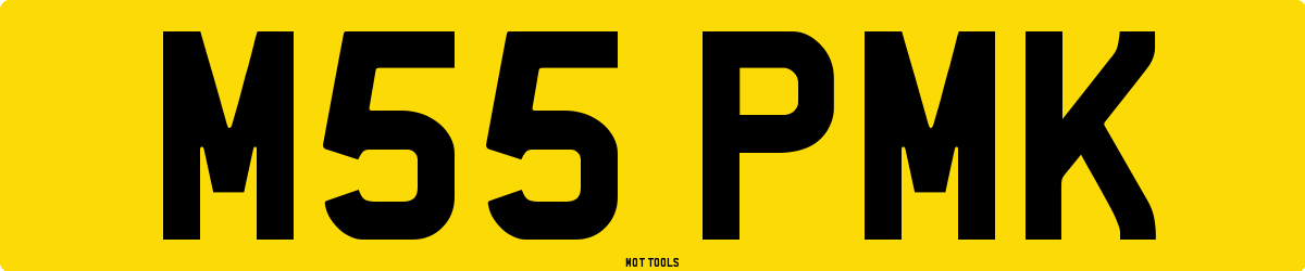M55PMK MOT Check