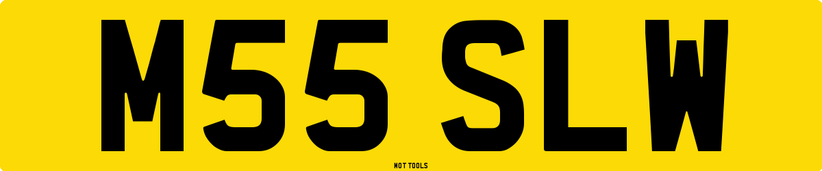 M55SLW MOT Check