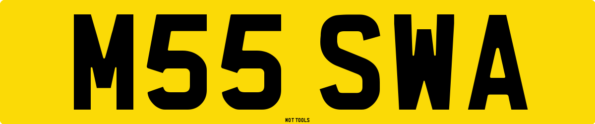 M55SWA MOT Check