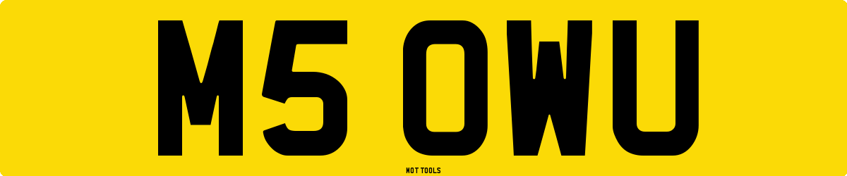 M5OWU MOT Check