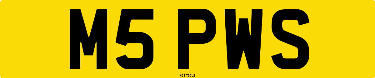 M5PWS MOT Check