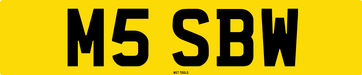 M5SBW MOT Check