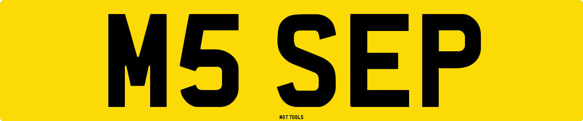 M5SEP MOT Check