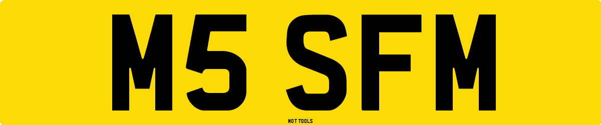 M5SFM MOT Check