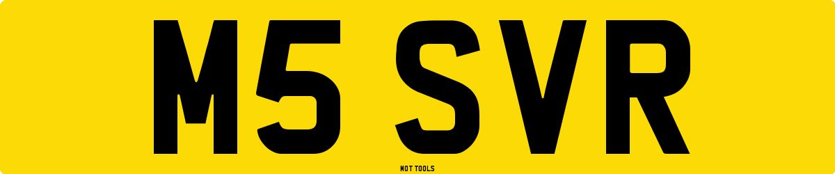 M5SVR MOT Check