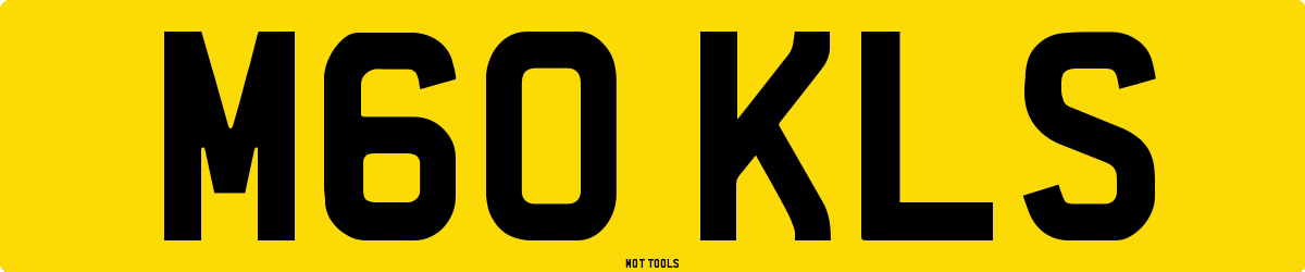M60KLS MOT Check