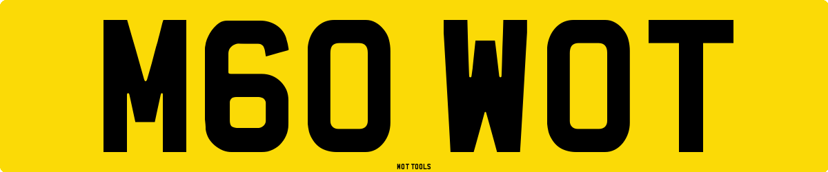 M60WOT MOT Check